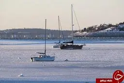 تصاویر شگفت‌انگیز از طبیعت یخ زده آمریکا در دمای 40-