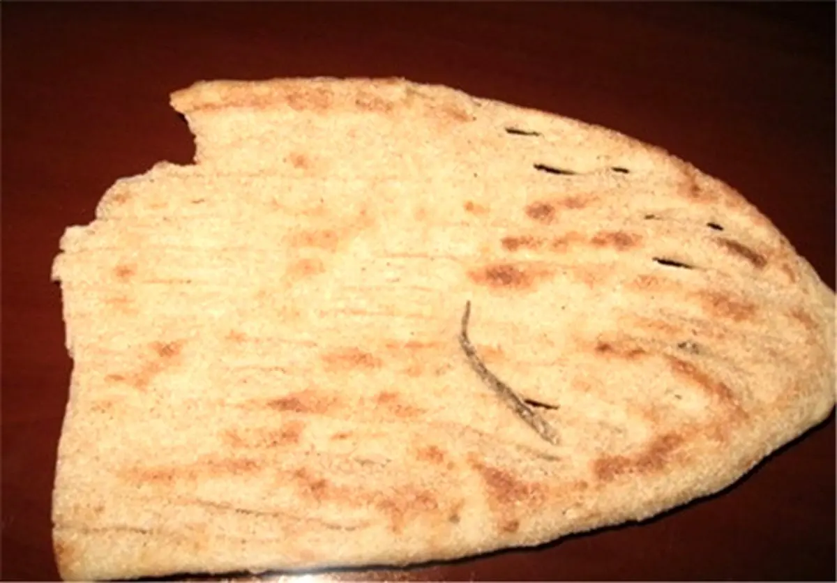 پیدا شدن دم مارمولک در نان/تصاویر