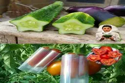 خلاقیت در کشاورزی/عکس