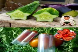 خلاقیت در کشاورزی/عکس