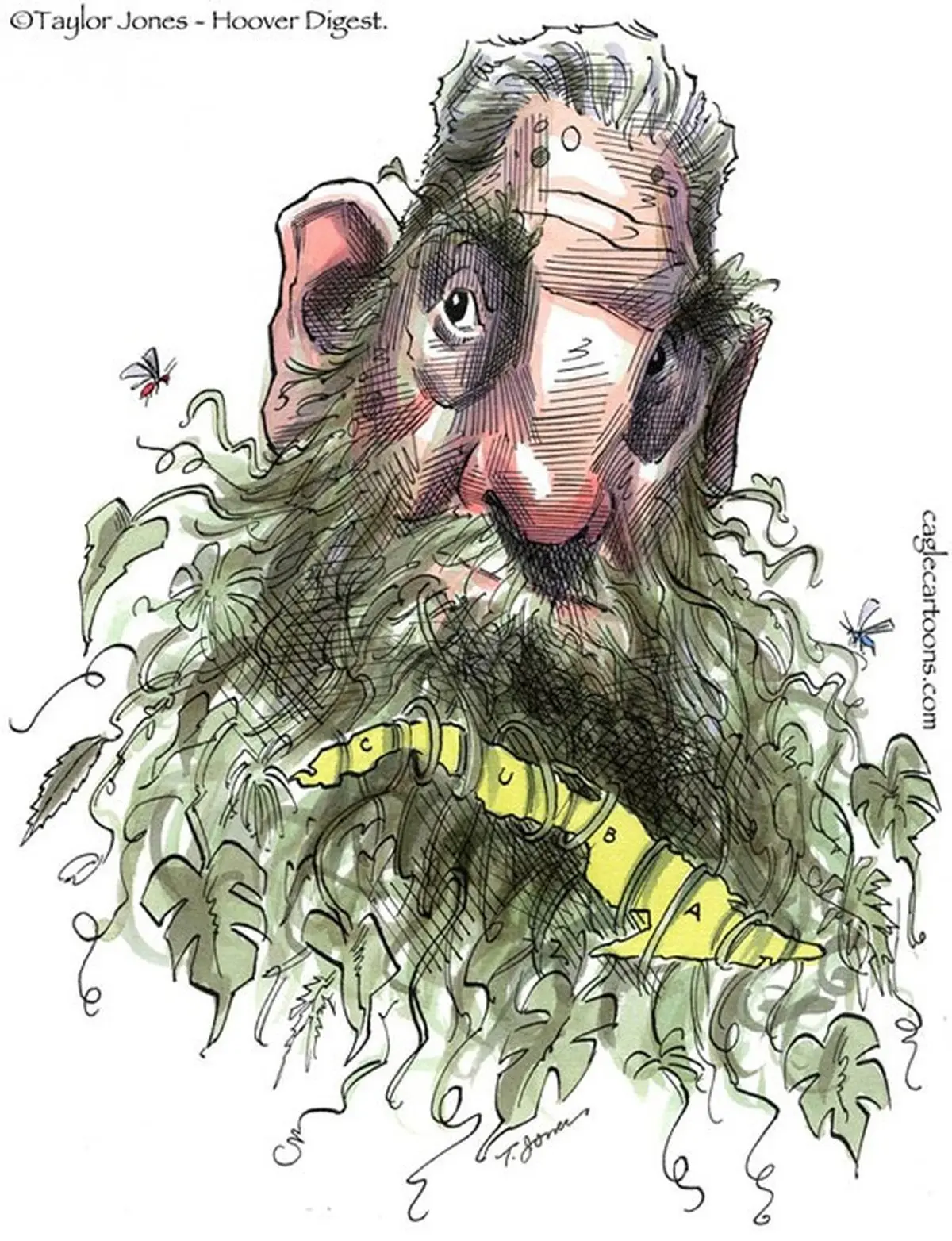 واکنش‌های کاریکاتوری به مرگ فیدل کاسترو