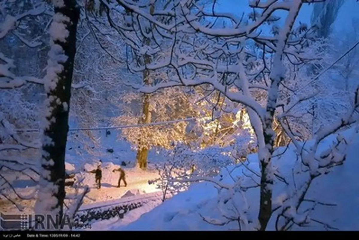 یک روز برفی در ارتفاعات تهران/تصاویر