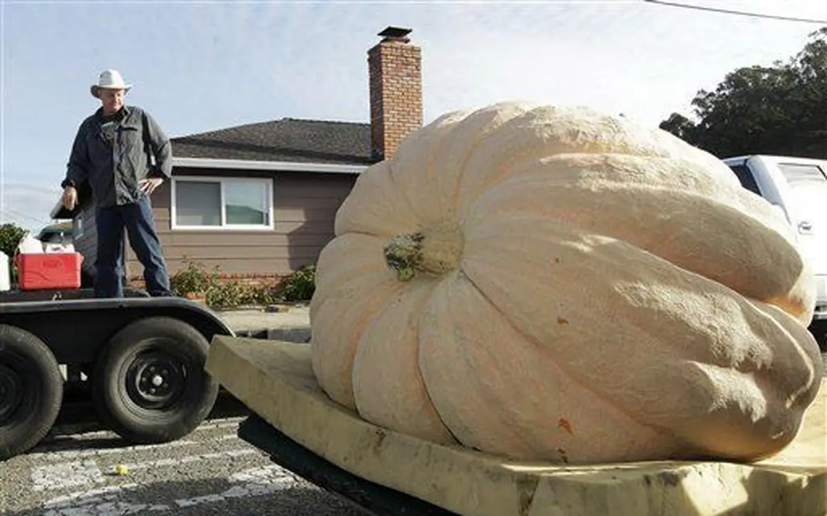 عجیب ترین مسابقه برگزار شده در آمریکا! +عکس