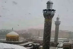 حرم حضرت زینب سفید پوش شد/ عکس