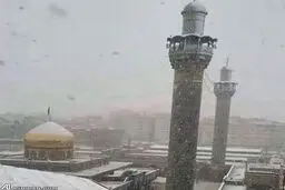 حرم حضرت زینب سفید پوش شد/ عکس