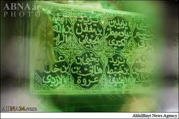 زیارت حرم سیدالشهداء(ع)/تصاویر