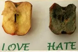 قدرت فکر انسان و تاثیر آن بر اشیاء / عکس