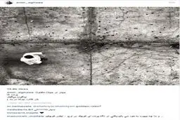 پست خاص امیر آقایی در اینستاگرام/ عکس