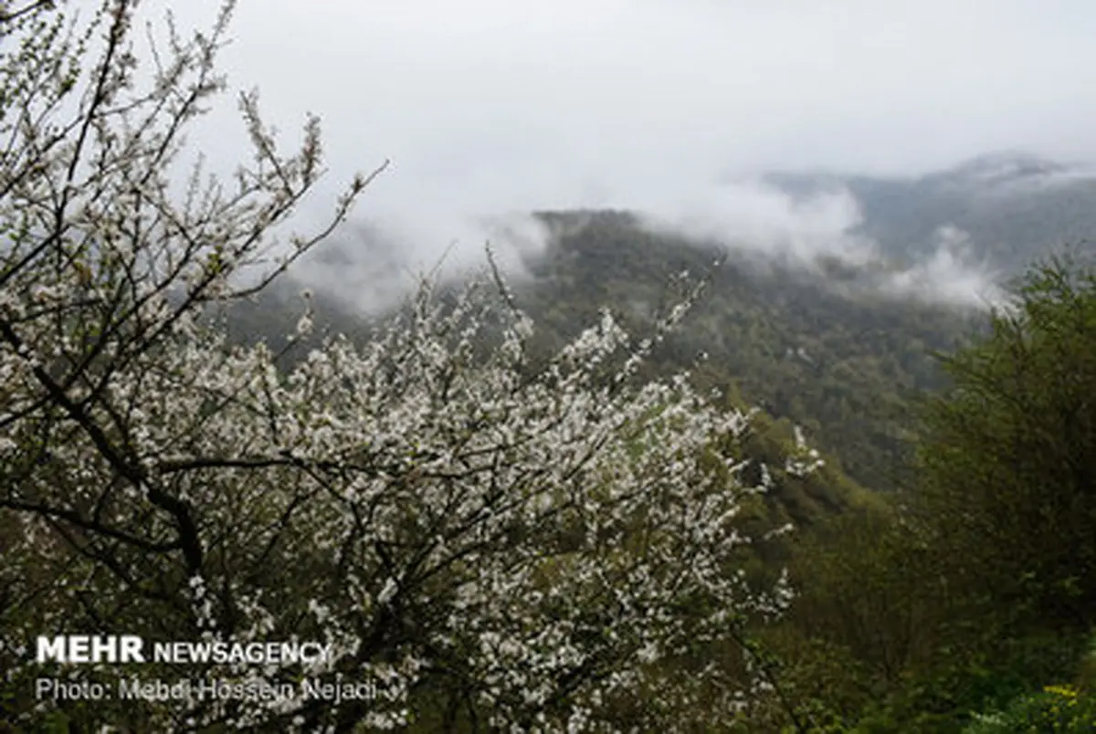 تصاویری از سفر به دریای بیکران ابرها در گردنه کوهستانی حیران