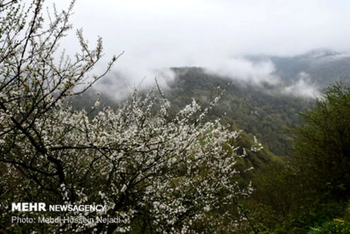 تصاویری از سفر به دریای بیکران ابرها در گردنه کوهستانی حیران