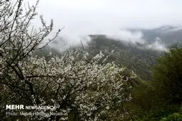 تصاویری از سفر به دریای بیکران ابرها در گردنه کوهستانی حیران