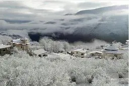 عکس دیدنی مجری تلویزیون از زمستان تنکابن / عکس