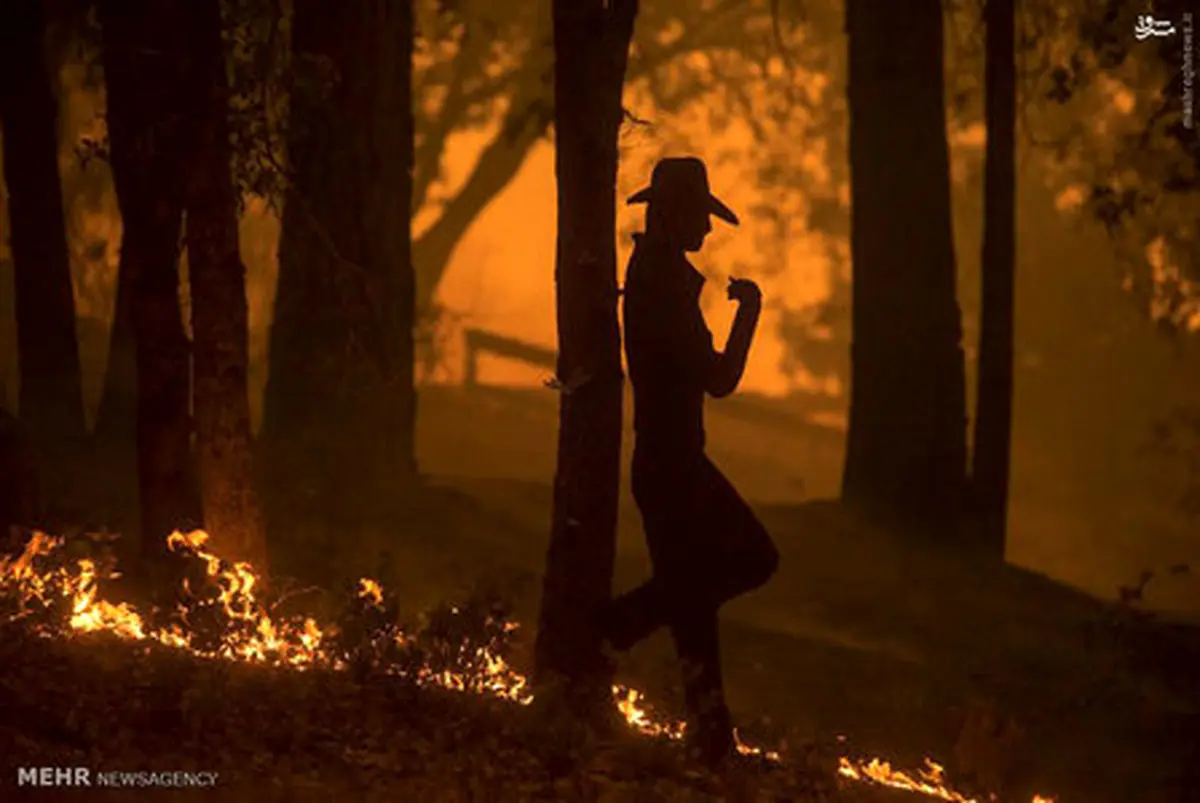 آتش سوزی در کالیفرنیای آمریکا /تصاویر