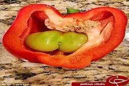 عجیب‌ترین میوه‌های جهان+ تصاویر