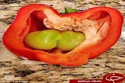 عجیب‌ترین میوه‌های جهان+ تصاویر