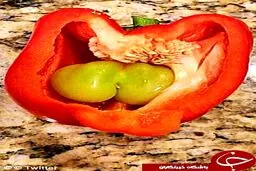 عجیب‌ترین میوه‌های جهان+ تصاویر