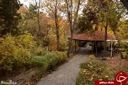 پاتوق رمانتیک بالای شهر تهران +تصاویر