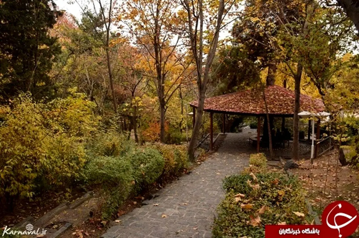 پاتوق رمانتیک بالای شهر تهران +تصاویر