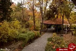 پاتوق رمانتیک بالای شهر تهران +تصاویر