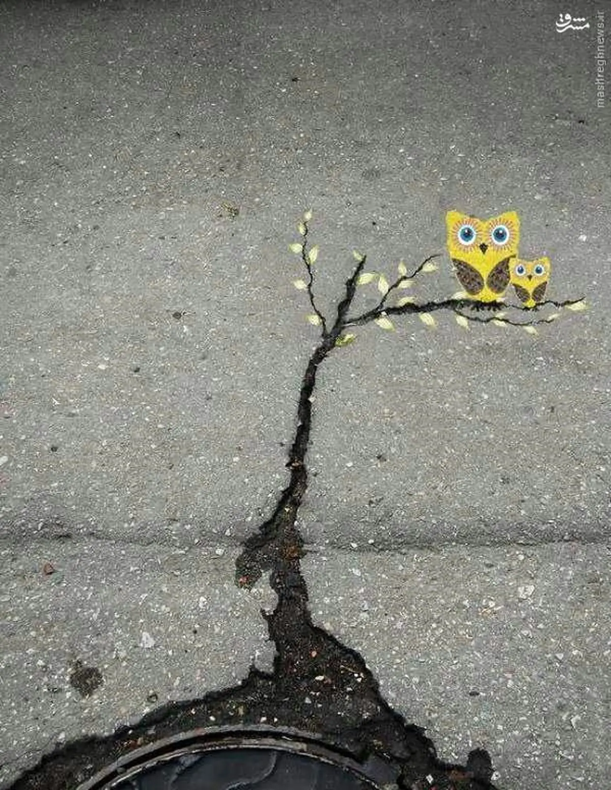 خلاقیت جالب با آسفالت ترک خورده/ عکس