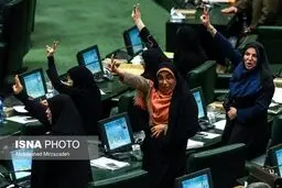 حاشیه های تصویری صحن علنی مجلس شورای اسلامی