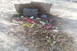 عکسی از مزار داوود رشیدی/او 21 روز پیش زنده بود