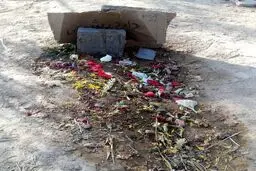 عکسی از مزار داوود رشیدی/او 21 روز پیش زنده بود