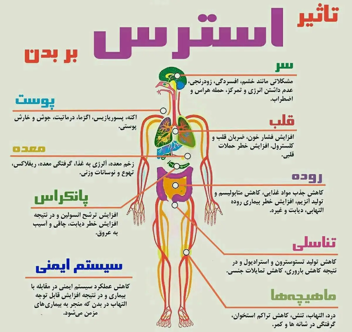 استرس با جسم افراد چه می‌کند؟ + اینفوگرافیک