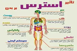 استرس با جسم افراد چه می‌کند؟ + اینفوگرافیک