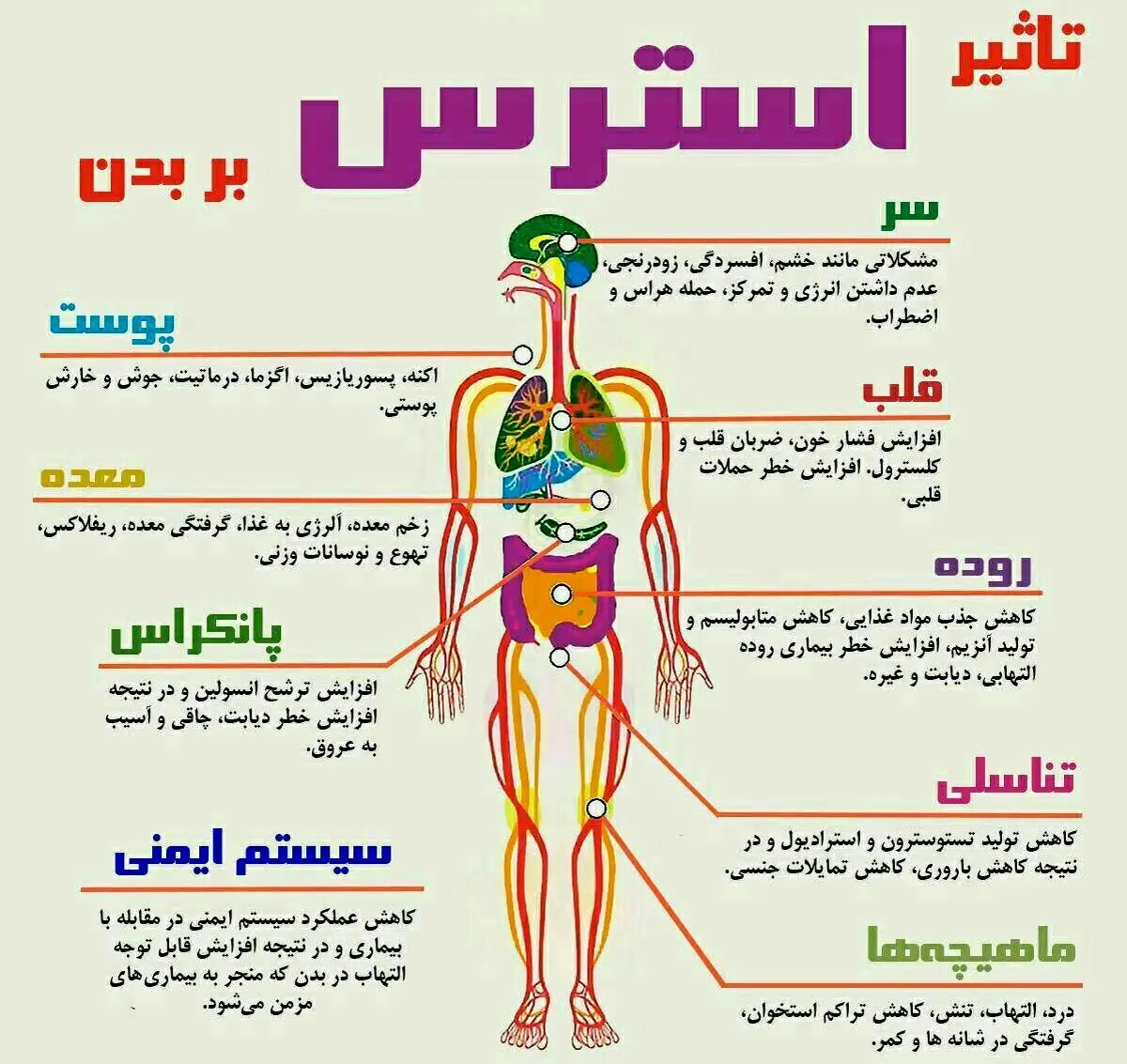 استرس با جسم افراد چه می‌کند؟ + اینفوگرافیک