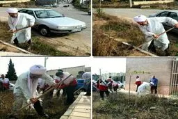 بیل‌زنی امام جمعه اردبیل برای زیبایی شهر / عکس
