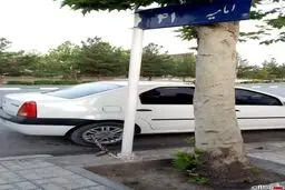 عکس/ قفل عجیب ماشین از ترس دزد