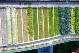 تصاویری از پشت بام رویایی یک مدرسه