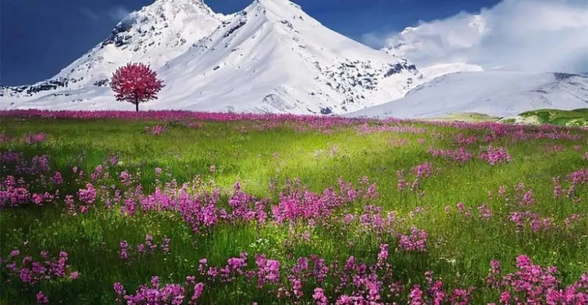 عکس / نمای زیبایی از رشته کوه های آلپ