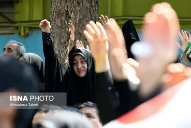 شهید زاهدی