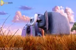 انیمیشن ایرانی فیل شاه در شبکه خانگی و سایت های دانلود قانونی منتشر شد !