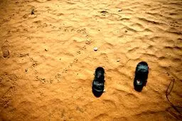 نجات ۷۶ دانش‌آموز دختر از دست بوکوحرام/تصاویر