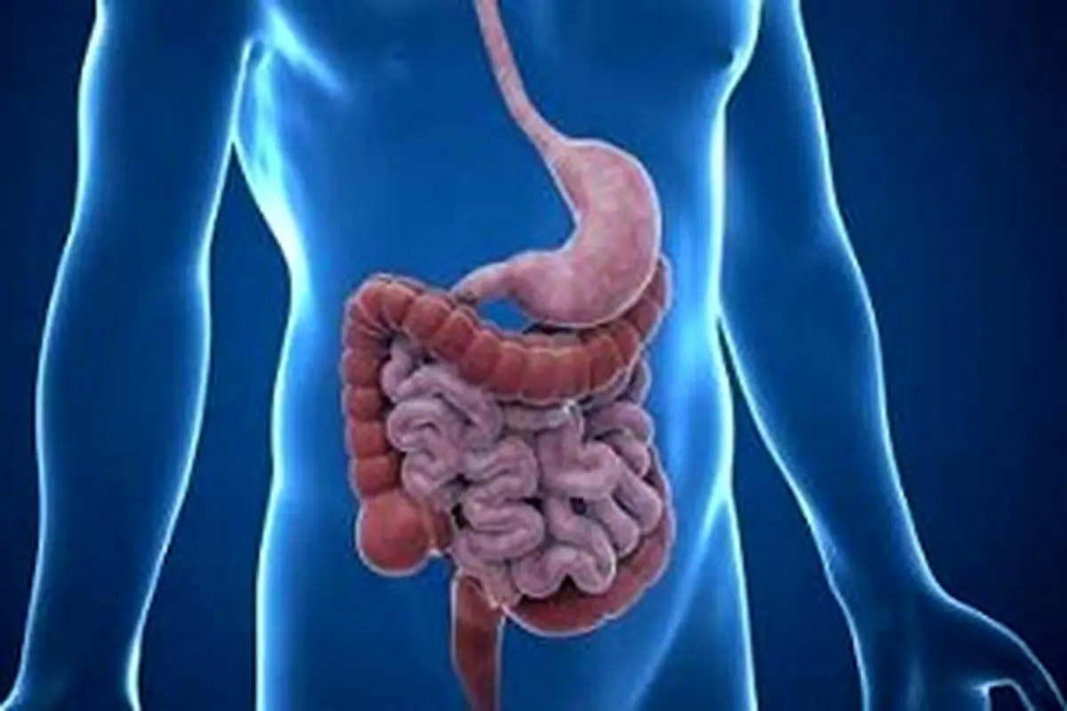 یک نسخه ضد سرطان برای همه!