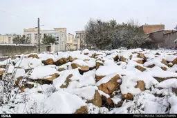 بارش برف پاییزی در اردبیل/تصاویر