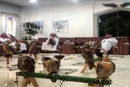 بیمارستان «شاهین‌ها» در قطر