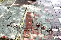 روایت تصویری از تیراندازی در مجلس شورای اسلامی و حرم امام خمینی