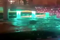 فیلم/ فوری : هم اکنون سیل در قم به راه افتاد