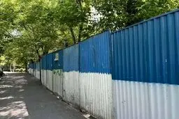 اعدام درختان پارک لاله بدست زاکانی !