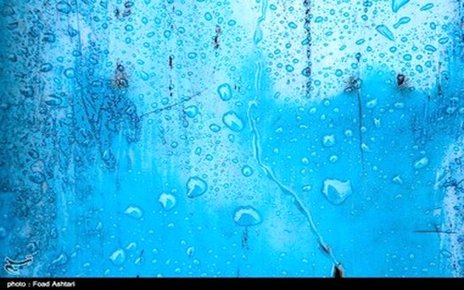 برگ و باران /تصاویر