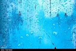 برگ و باران /تصاویر