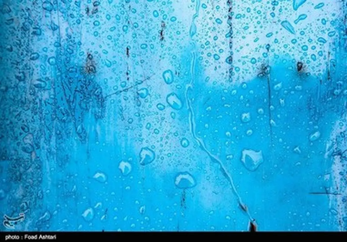برگ و باران /تصاویر