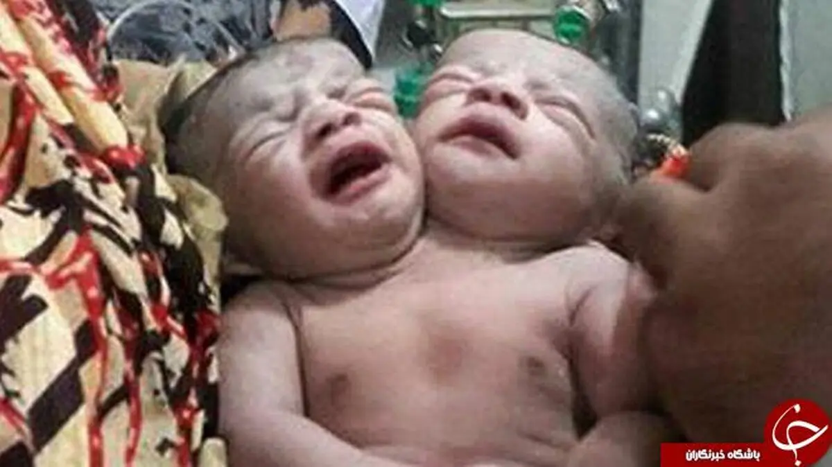لاله و لادن بنگلادشی بدنیا آمدن + عکس