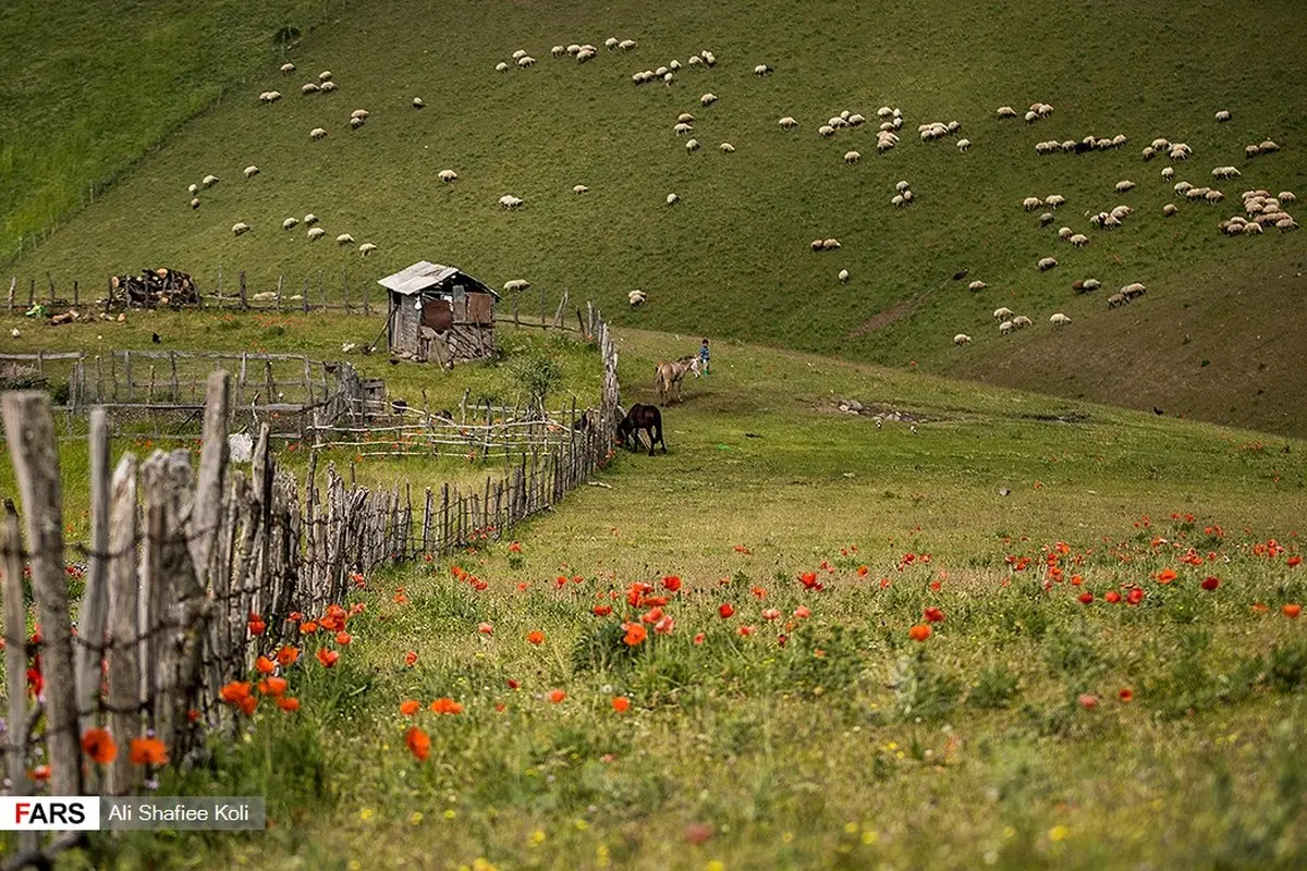 تصاویر خیره کننده از شمال ایران