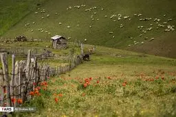 تصاویر خیره کننده از شمال ایران