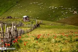 تصاویر خیره کننده از شمال ایران
